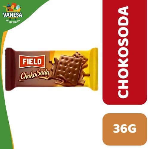 GALLETA FIELD CHOKOSODA 36G